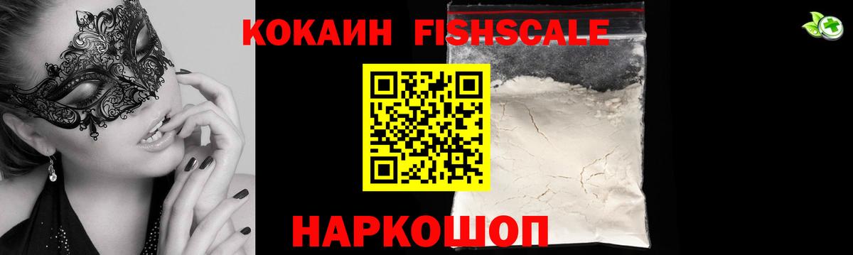 COCAIN Fish Scale  COCAIN 97%  Вход с VPN  Коммунар 