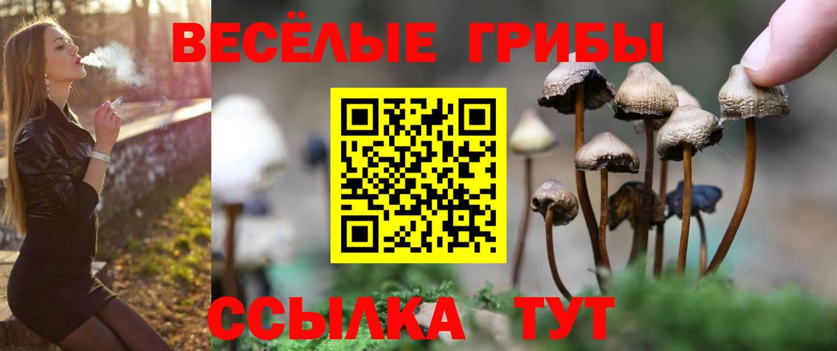 Коммунар  Галлюциногенные грибы Psilocybe  Псилоцибиновые грибы Psilocybine cubensis  Вход с VPN 